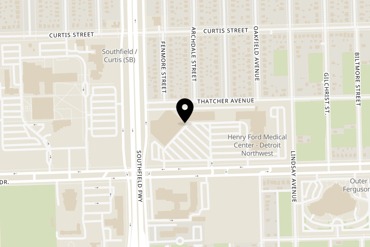 Map showing the location of Al's Soul Food on 8000 Outer Dr W in Detroit